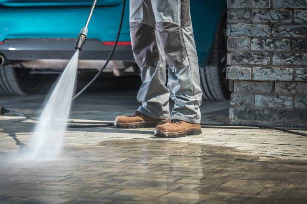Best Spring Cleaning  in East Grand Forks, MN